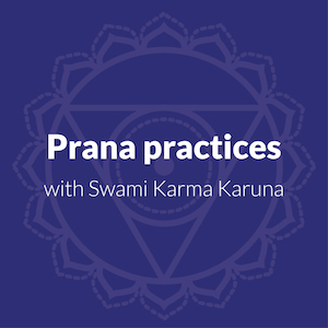 Anahatas Full Practices - Anahata Yoga Retreat: Prana Practices