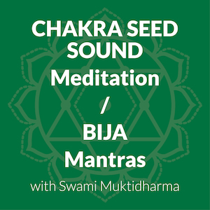 Audio - Anahata Yoga Retreat: Meditation On Chakra Seed Sounds/Bija Mantras