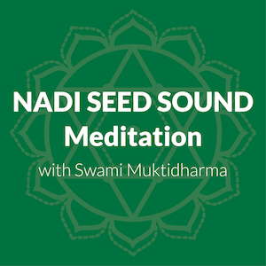 Audio - Anahata Yoga Retreat: Meditation On The Nadi Seed Sounds
