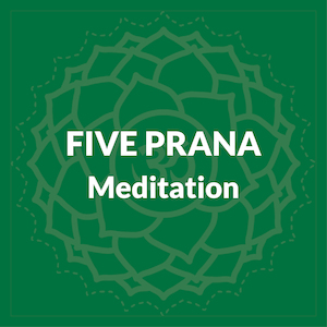 Audio - Anahata Yoga Retreat: Five Prana Meditation