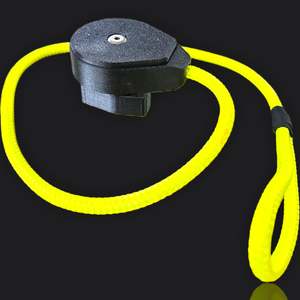 Tethers: Linq Puck for Seadoo FishPro