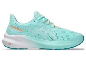 Asic’s GT1000 13 GS 1014A343-405