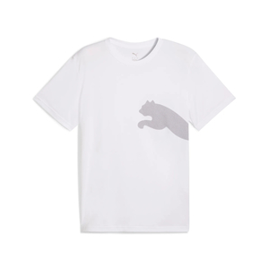 Clothing: Puma Big Logo Tee 526721-02
