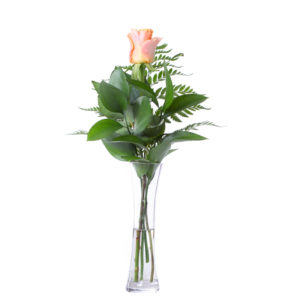 Anniversary: Flirty Freesias