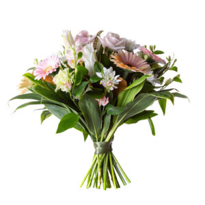 Birthday: NZ Life & Leisure Magazine