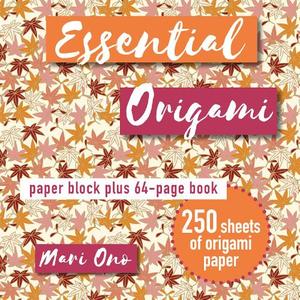 Toys Pastimes: Essential Origami