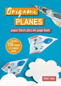 Art Posters: Origami Planes