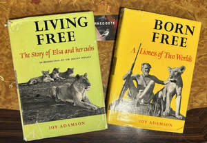 Collectibles: Living Free - the iconic Joy Adamson story of Lioness Elsa and her cubs