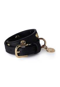 Pet Accessories: HC Studded Dog Collar - Black