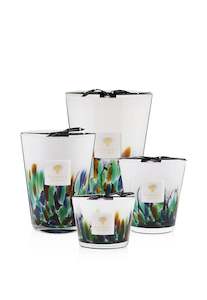 Baobab: Rainforest Amazonia Scented Candle