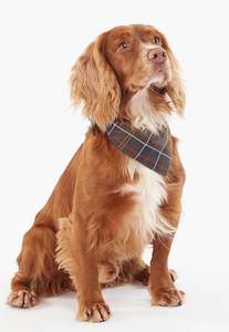 Tartan Dog Bandana - Classic Tartan