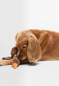 Pet Accessories: Dog Flying Duck Toy - Brown