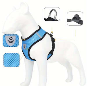 Harness and Lead for Small Breeds M