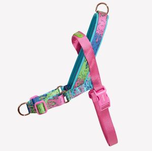 Dog And Puppy Harnesses: Zee Dog Softer Walk Harness - Melted