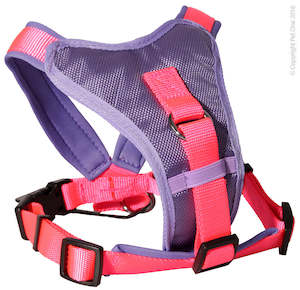 Dog And Puppy Harnesses: Pet One Harness - Comfy 76 - 92cm Padded 25mm Purple Pink