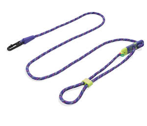 Dog And Puppy Leads: Zee.Dog Hands-Free  Leash - Tokyo