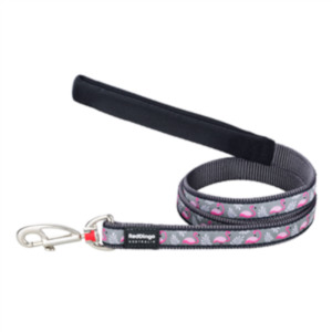 Dog And Puppy Leads: Red Dingo Dog Lead Flamingo Cool Grey Medium 20mm x 1.2m