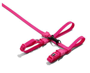 Cat And Kitten Harnesses: Zee.Cat Harness with Leash - Pink LED