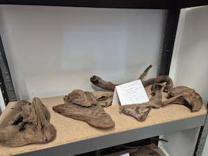 Driftwood size M - in store only