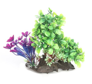 Fish Tanks: Aq plant majestic cluster 19cm