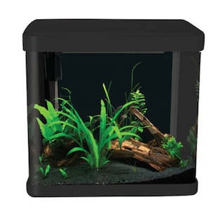 Fish Tanks 1: IN STORE ONLY -  Aqua One Lifestyle 21 Complete Glass Aquarium 32cm 21L Gloss Black