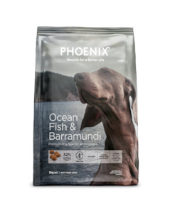 Phoenix Dog Food: Phoenix Ocean Fish & Barramundi Adult Dog Food