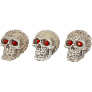Aquatic Decorations: Skull-Gazers - Assorted Styles -
