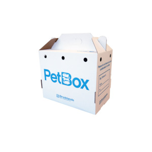 Cats: Cardboard Pet Box
