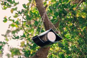 Birds: Bird Butter House