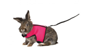 Small Animals: Soft Harness - Rabbit Large
