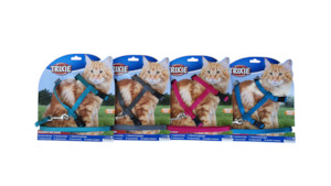 Cat Tethering: Cat Harness & Lead - Big Cat