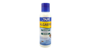 API Algae Fix