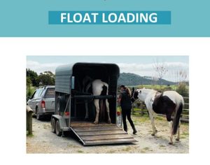 Horse Saddle Fitting Info Pack