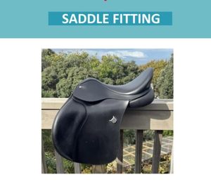 Horse Float Loading Info Pack