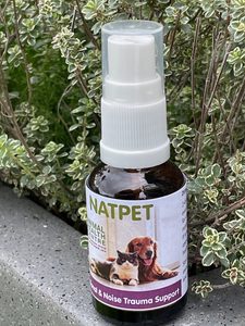 Products: Emotional & Noise Trauma Support