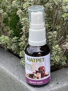 White Tui Animal Homeopathic & Herbal Preparations Online: Dental Assist