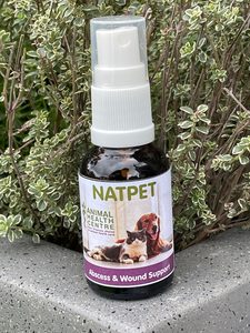 Products: Abscess & Wound Support