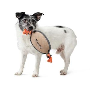 Rugby Ball Dog Toy