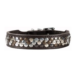 Products: Arizona Studded Brown Leather Dog Collar