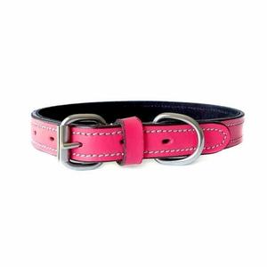 Products: Fiesta Fuchsia