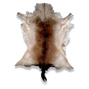 Deer Skins: Winter Chocolate Fallow