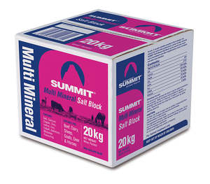 Horse: Summit Multimineral Salt Block