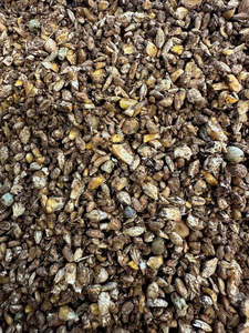 Poultry And Birds: Chook Chow 5kg