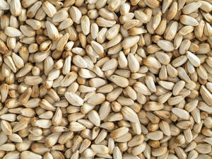 Poultry And Birds: Safflower Seeds