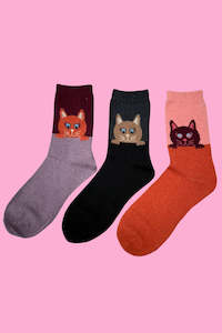 Socks 1: Cosy Blend Kitten Socks - Includes Wool - Multi Pack Of 3