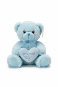 Gorgeous Boy Bear (25cm)