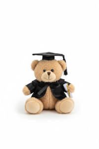 Graduation Teddy Bear (25cm)