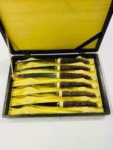 Cutlery 1: Vintage Horn handled steak knives