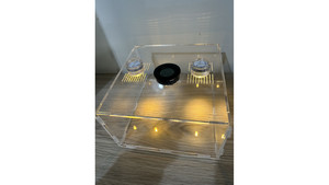 Enclosure: large Spider, praying mantis, ant living area or other insect enclosure