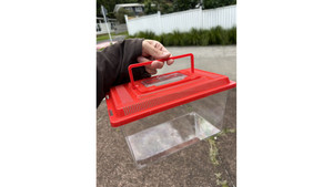 medium fish tank, frog, isopods Insect Terrarium box, ant living area (27x17x15)